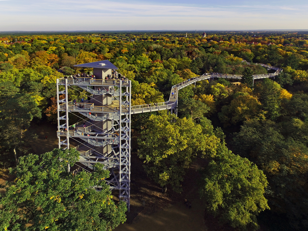 Baumkronenpfad Beelitz-Heilstätten - Gruppenreisen mit groupedia
