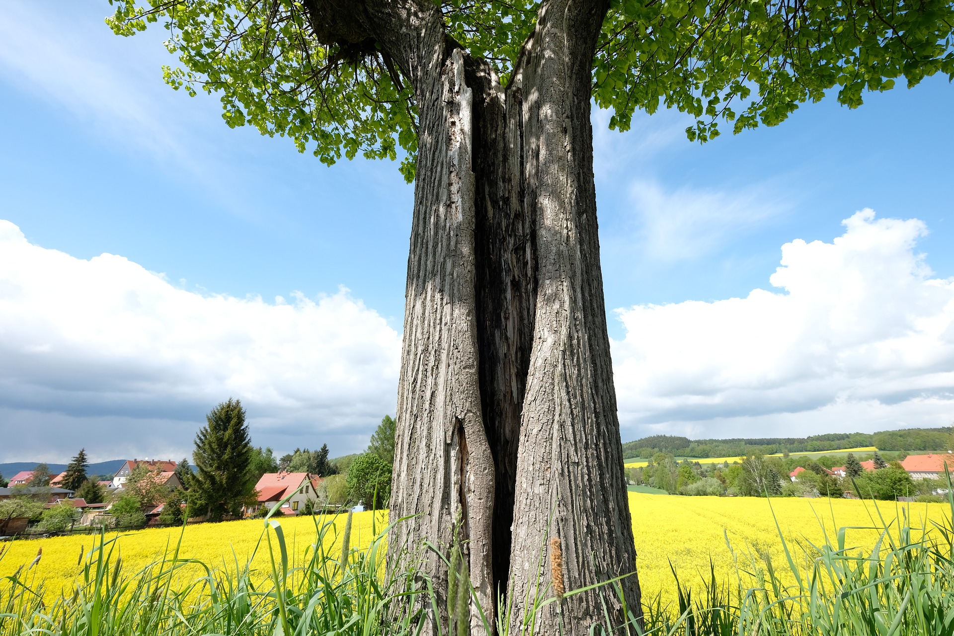 Oberlausitz - Im Herzen der Provinz - Gruppenreisen mit groupedia