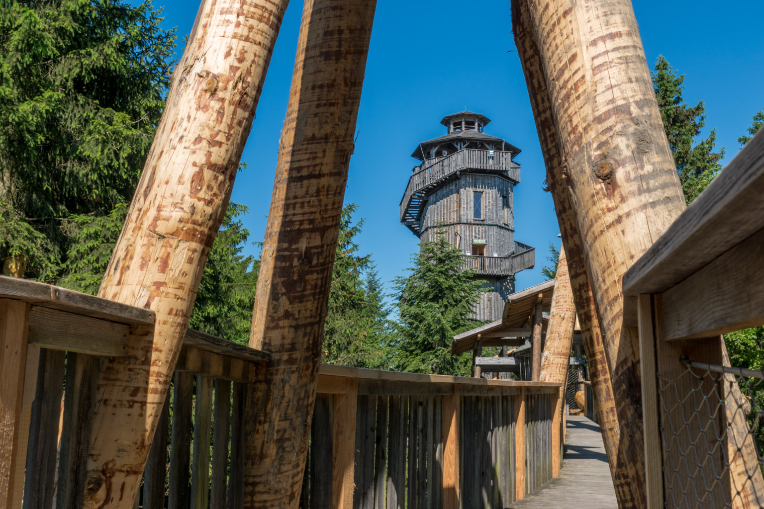 Baumkronenweg Kopfing Gruppenreisen mit groupedia